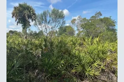 0 NW 310th Street, Okeechobee, FL 34972 - Photo 1