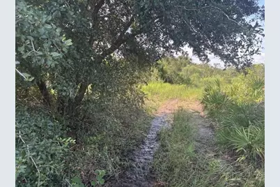 0 NW 310th Street, Okeechobee, FL 34972 - Photo 2