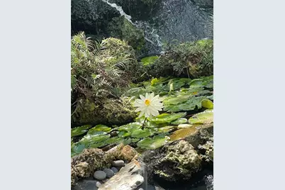 2900 NE 14th Street Causeway #514, Pompano Beach, FL 33062 - Photo 36