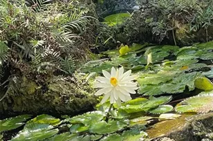 2900 NE 14th Street Causeway, Pompano Beach, FL 33062 - Photo 36