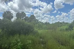 0 NW 316th St, Okeechobee, FL 34972 - Photo 1