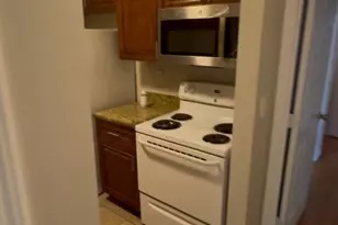 4024 Dream Oak Pl, Tampa, FL 33613 - Photo 16