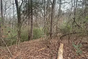 0 Griffin Circle, Westville, FL 32464 - Photo 1