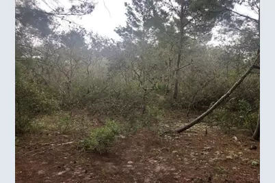 0 Alturas Babson Park Cutoff Road, Lake Wales, FL 33859 - Photo 1