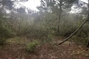 0 Alturas Babson Park Cutoff Rd, Lake Wales, FL 33859 - Photo 1