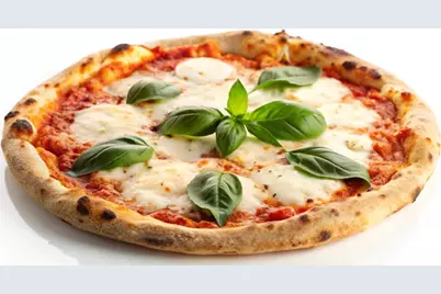 [Address not provided], Pompano Beach, FL 33064 - Photo 2