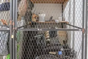 3201 Portofino Point, Coconut Creek, FL 33066 - Photo 34