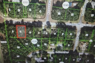 1248 W G Martinelli Blvd, Dunnellon, FL 34434 - Photo 1