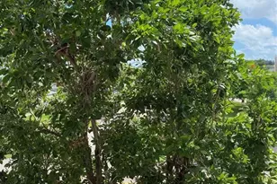 3012 Westbury F, Deerfield Beach, FL 33442 - Photo 26