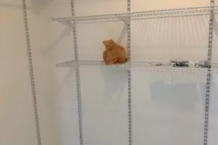 3380 NW 78th Ave, Margate, FL 33063 - Photo 14