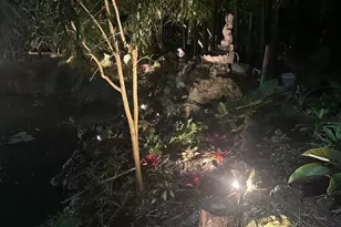 15810 N 83rd Ln N, Loxahatchee, FL 33470 - Photo 76