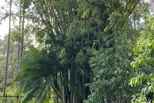 15810 N 83rd Ln N, Loxahatchee, FL 33470 - Photo 60