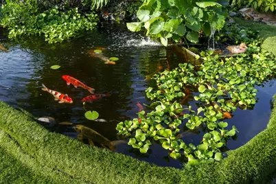 5973 SW 54th Court, Davie, FL 33314 - Photo 34