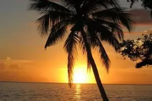 900 NE 18th Ave Unit, Fort Lauderdale, FL 33304 - Photo 30