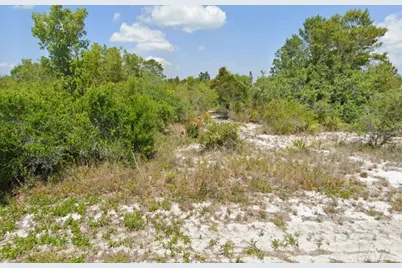 103 Vera Lane, Lake Placid, FL 33852 - Photo 4