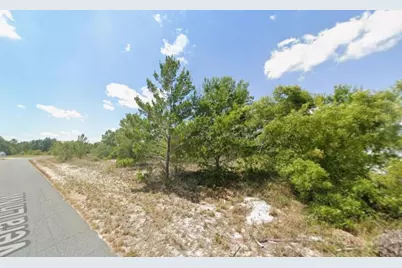 103 Vera Lane, Lake Placid, FL 33852 - Photo 2