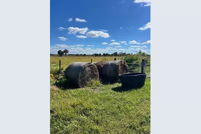 0 NW 240th, Okeechobee, FL 34972 - Photo 4