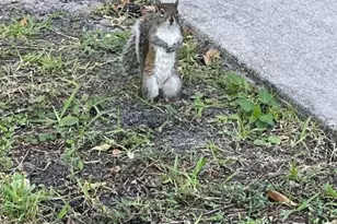 2448 NW 49th Terrace, Pompano Beach, FL 33063 - Photo 26