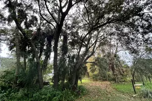 14625 NW 298th St, Okeechobee, FL 34972 - Photo 8