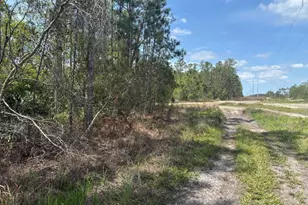 0 Holopaw Groves Rd, Saint Cloud, FL 34772 - Photo 1