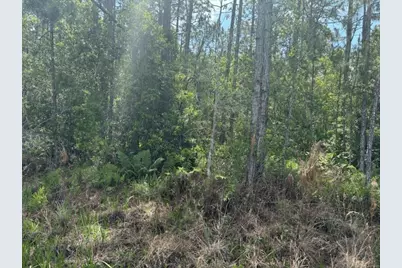 0 Holopaw Groves Road, Saint Cloud, FL 34772 - Photo 2