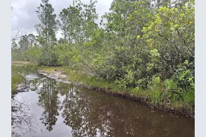 0 Holopaw Groves Road, Saint Cloud, FL 34772 - Photo 2