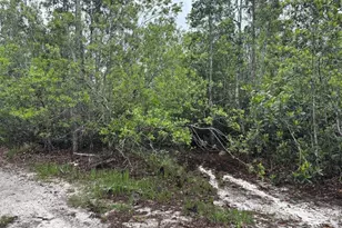 0 Holopaw Groves Rd, Saint Cloud, FL 34772 - Photo 1