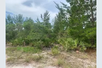 0 Holopaw Groves Road, Saint Cloud, FL 34772 - Photo 2