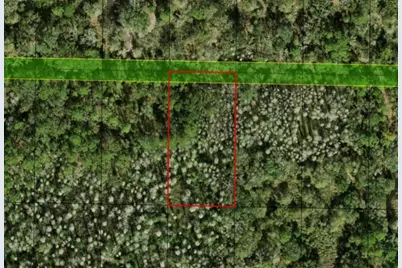 0 County Rd 54, Kathleen, FL 33849 - Photo 4