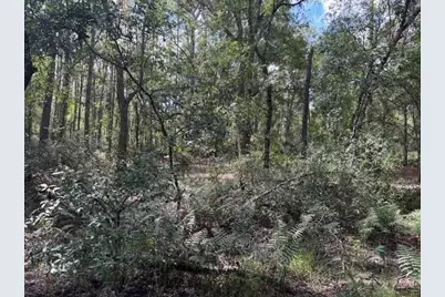 0 County Rd 54, Kathleen, FL 33849 - Photo 2