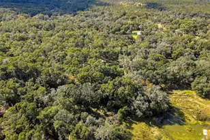 26250 Blackjack St, Brooksville, FL 34601 - Photo 54