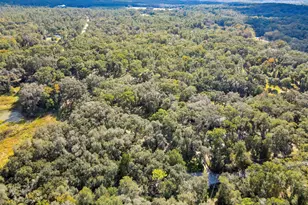 26250 Blackjack St, Brooksville, FL 34601 - Photo 58