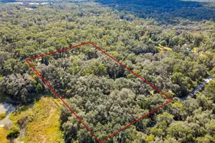 26250 Blackjack St, Brooksville, FL 34601 - Photo 52