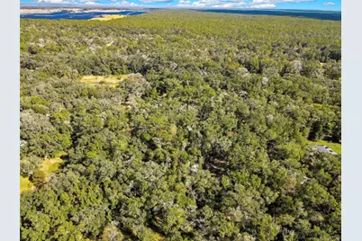 26250 Blackjack Street, Brooksville, FL 34601 - Photo 58