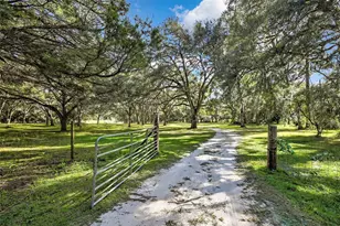 26250 Blackjack St, Brooksville, FL 34601 - Photo 4