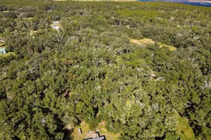 26250 Blackjack St, Brooksville, FL 34601 - Photo 62