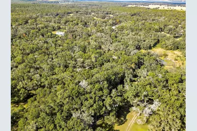26250 Blackjack Street, Brooksville, FL 34601 - Photo 60