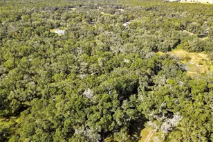 26250 Blackjack St, Brooksville, FL 34601 - Photo 60