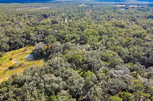 26250 Blackjack St, Brooksville, FL 34601 - Photo 36