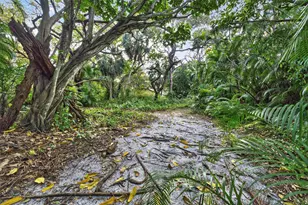 1711 SW 30th Pl, Fort Lauderdale, FL 33315 - Photo 36