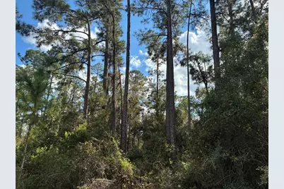 2681 Park Avenue, Bartow, FL  - Photo 1