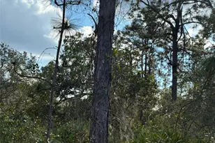 2541 Plumosa Dr, Indian Lake Estates, FL - Photo 1