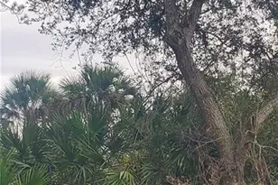 315 Ivanhoe Ave, Labelle, FL 33935 - Photo 1