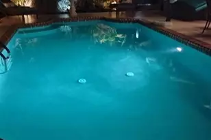 2611 NE 53rd St, Lighthouse Point, FL 33064 - Photo 60