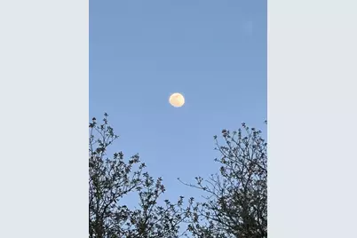 3050 E Possum Court, Inverness, FL 34452 - Photo 74