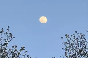 3050 E Possum Ct, Inverness, FL 34452 - Photo 74