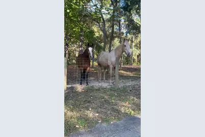 3050 E Possum Court, Inverness, FL 34452 - Photo 46