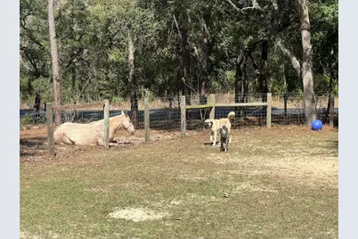 3050 E Possum Court, Inverness, FL 34452 - Photo 58