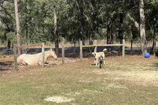 3050 E Possum Ct, Inverness, FL 34452 - Photo 58