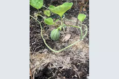 3050 E Possum Court, Inverness, FL 34452 - Photo 48